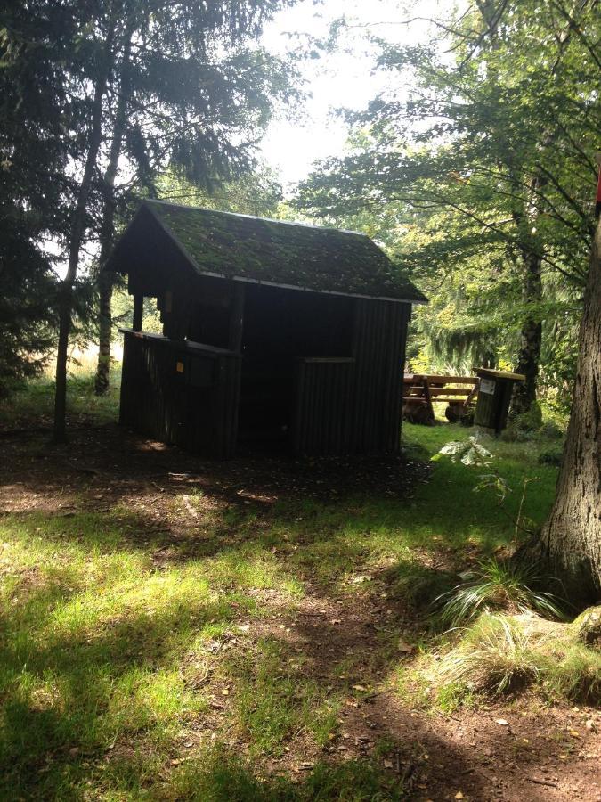 Ferienwohnung "Rodelnde Geiss" Mit Schwimmbad Braunlage Exterior foto