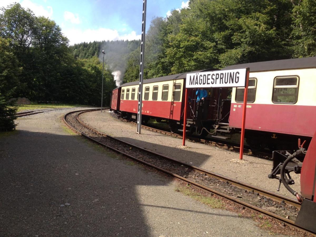 Ferienwohnung "Rodelnde Geiss" Mit Schwimmbad Braunlage Exterior foto